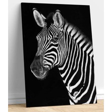 Stella Store Zebra Dekoratif Kanvas Tablo