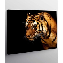 Stella Store Leopar Kanvas Tablo