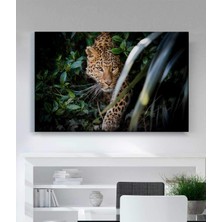 Stella Store Leopar Sanat Kanvas Tablo