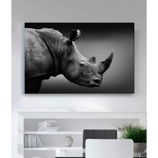 Stella Store Gergedan Kanvas Tablo