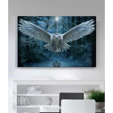 Stella Store Beyaz Baykuşlu Kanvas Tablo