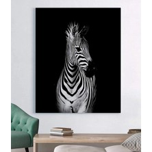 Stella Store Zebra Dekoratif Kanvas Tablo