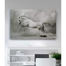 Stella Store Beyaz Atlı Kanvas Tablo