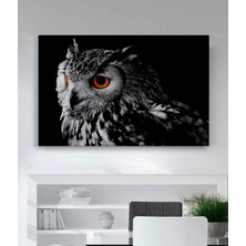 Stella Store Baykuşlu Kanvas Tablo