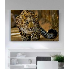 Stella Store  Leopar Kanvas Tablo