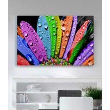 Stella Store Renkli Kanvas Tablo