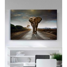 Stella Store Fil Kanvas Tablo