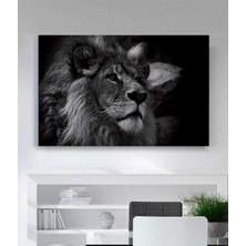 Stella Store Aslan Kanvas Tablo