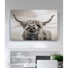 Stella Store Siyah Beyaz Hayvan Kanvas Tablo