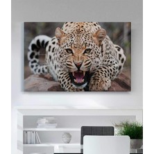Stella Store Leopar Kanvas Tablo