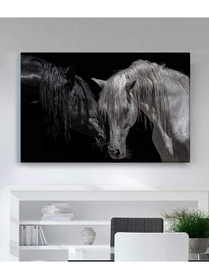 Stella Store Siyah Beyaz At Kanvas Tablo