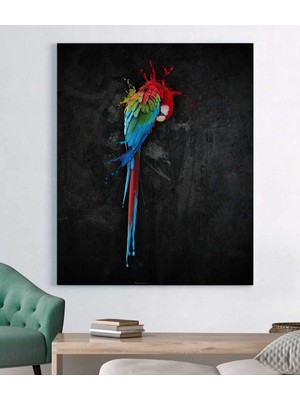 Stella Store Renkli Papağan Kanvas Tablo