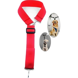 Araba Köpek Emniyet Kemeri Kırmızı