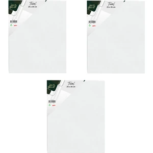 Gen-of Tuval 25X35 cm 3 Adet