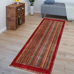 Rovigo Home Dijital Baskı Yıkanabilir Kaymaz Taban Salon Halısı RVG1541-HT647