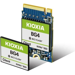 KIOXIA KBG50ZNS256G 256GB 22x30 M.2 NVME SSD