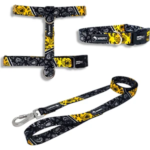 Coachella Köpek Tasma Seti Xsmall