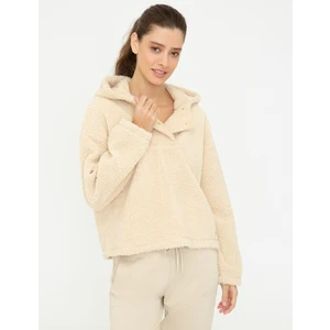 Pierre Cardin Kadın Camel Crop Top Sweatshirt 50244908-VR015