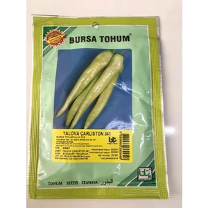 Bursa Tohum Bursa Yalova Çarliston Biber Tohumu