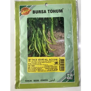 Bursa Tohum Bursa Ince Kıl Acı Biber Tohumu