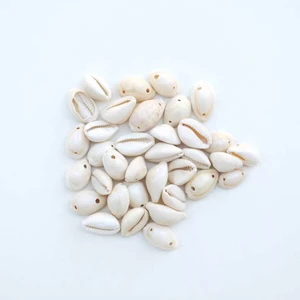 Yiğit Aksesuar 30 Adet Deniz Kabuğu