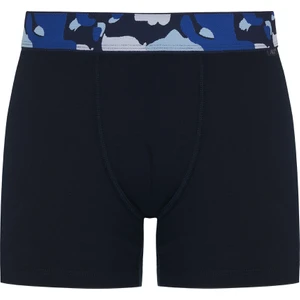 North Ice 2li Kamuflaj Boxer Laci/haki