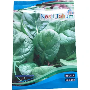 Ispanak Atalık Tohum 3 Paket /Her Paket 10 Gr