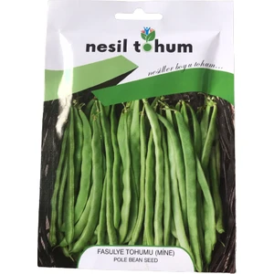 Fasulye(Mine) Atalık Tohumu 3 Paket