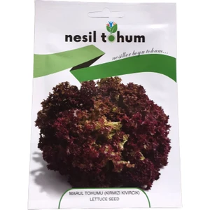 Marul Tohumu (Kırmızı Kıvırcık) Atalık Tohum 3 Paket