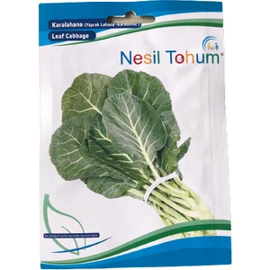 Karalahana (Yaprak Lahana-Karadeniz) Atalık Tohum 3 Paket