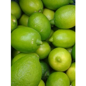 Ortaca Ele Ele Kadın Kooperatifi Taze Limon