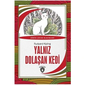Yalnız Dolaşan Kedi