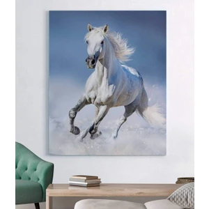 Stella Store Koşan Yalnız At Kanvas Tablo