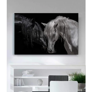 Stella Store Siyah Beyaz At Kanvas Tablo