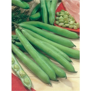 Agrodal Tarım  Anadolu Bakla Tohumu 30 Adet Tohum