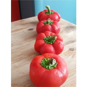 Agrodal Tarım  Meşhur Domates Tipli Biber Tohumu 100 Adet Tohum