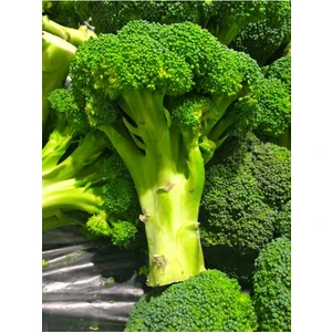 Agrodal Tarım   Brokoli Tohumu 100 Adet Tohum