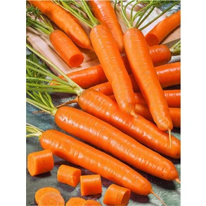 Agrodal Tarım  Şirin Havuç Nantes 1000 Adet Tohum