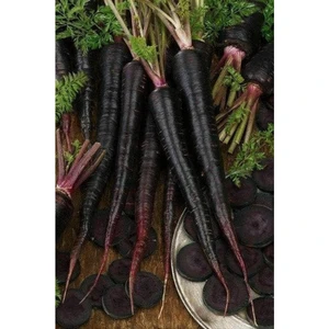 Agrodal Tarım  Siyah Havuç Tohumu 1000 Adet Tohum