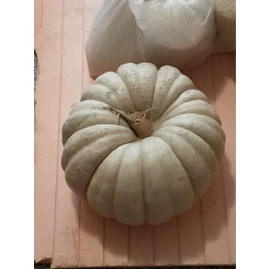 Agrodal Tarım  Kışlık Balkabağı 10 Adet Tohum