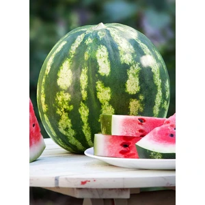 Agrodal Tarım  Diyarbakır Karpuzu C.sweet Tipi 100 Adet Tohum