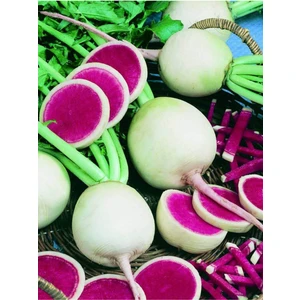 Agrodal Tarım  Çin Turpu 100 Adet Tohum