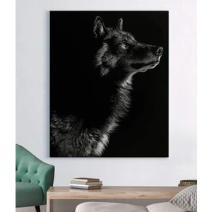 Stella Store Siyah Beyaz Kurt Kanvas Tablo