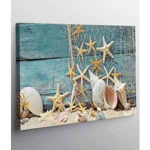 Stella Store Deniz Kabukları Kanvas Tablo