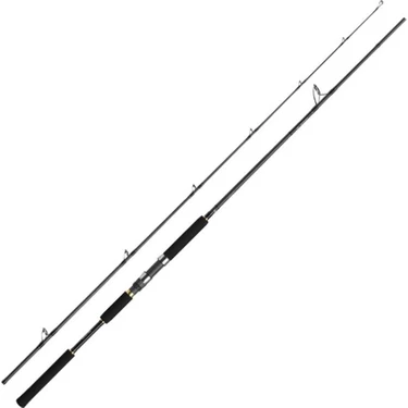 Daiwa Jig Caster Mx 96MH 290 cm 25-90 gr Shore Jig Kamışı Fiyatı