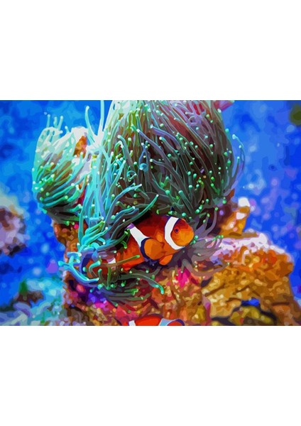 Kayıp Balık Nemo Sayılarla Boyama Seti 40 x 50 cm (Tuvale Gerili)