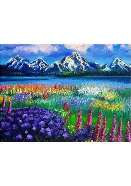 Baharın Müjdesi Sayılarla Boyama Seti 40 x 50 cm Tuval Şasesine Gerili)