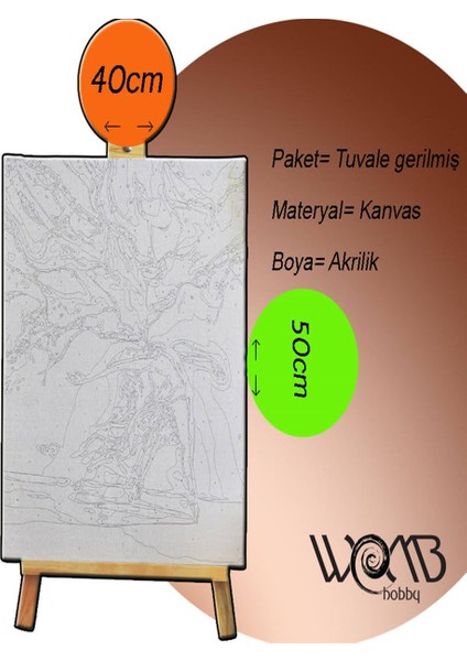 Çiçeklenmek Zerafet Sayılarla Boyama Seti 40 x 50 cm Tuval Şasesine Gerili)