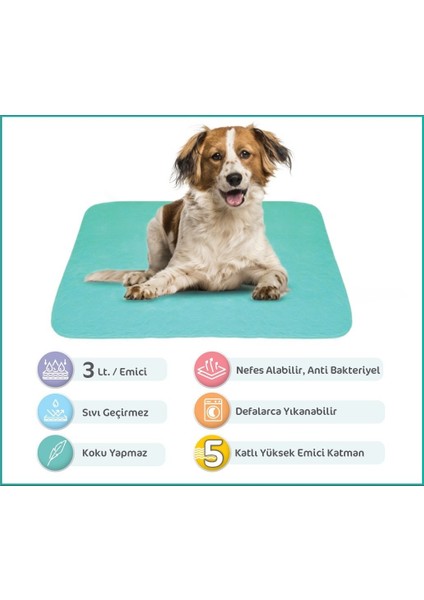 5 Katlı Yıkanabilir, Emici Sıvı Geçirmez Köpek Çiş Pedi (85X90 Cm) Polyester (2 Lİ PAKET)