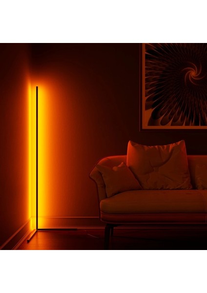 Minimal Rgb LED Köşe Lambader,radyo Frekans Kumandalı